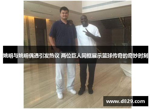 姚明与姚明偶遇引发热议 两位巨人同框展示篮球传奇的奇妙时刻