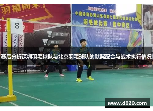 赛后分析深圳羽毛球队与北京羽毛球队的默契配合与战术执行情况