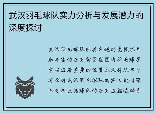 武汉羽毛球队实力分析与发展潜力的深度探讨