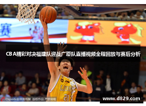 CBA精彩对决福建队迎战广厦队直播视频全程回放与赛后分析
